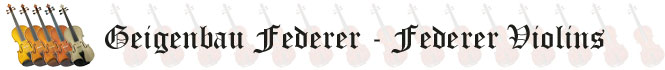 Header image with 5 fiddles