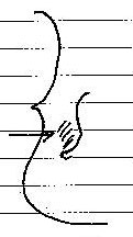Journal_14.jpg