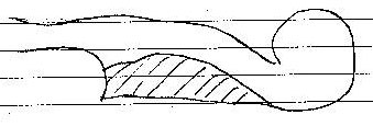 Journal_5.jpg